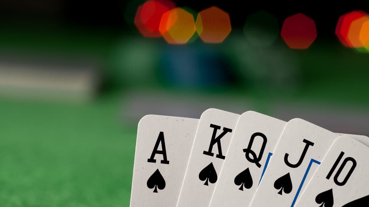 2025 year in review, 2026 year ahead