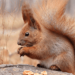 The benefits of contributing extra to super earlier in life