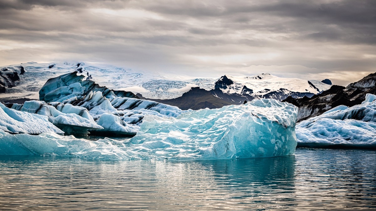 2025 year in review, 2026 year ahead