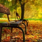 Losing capacity: The issues for SMSF trustees and what you need to do