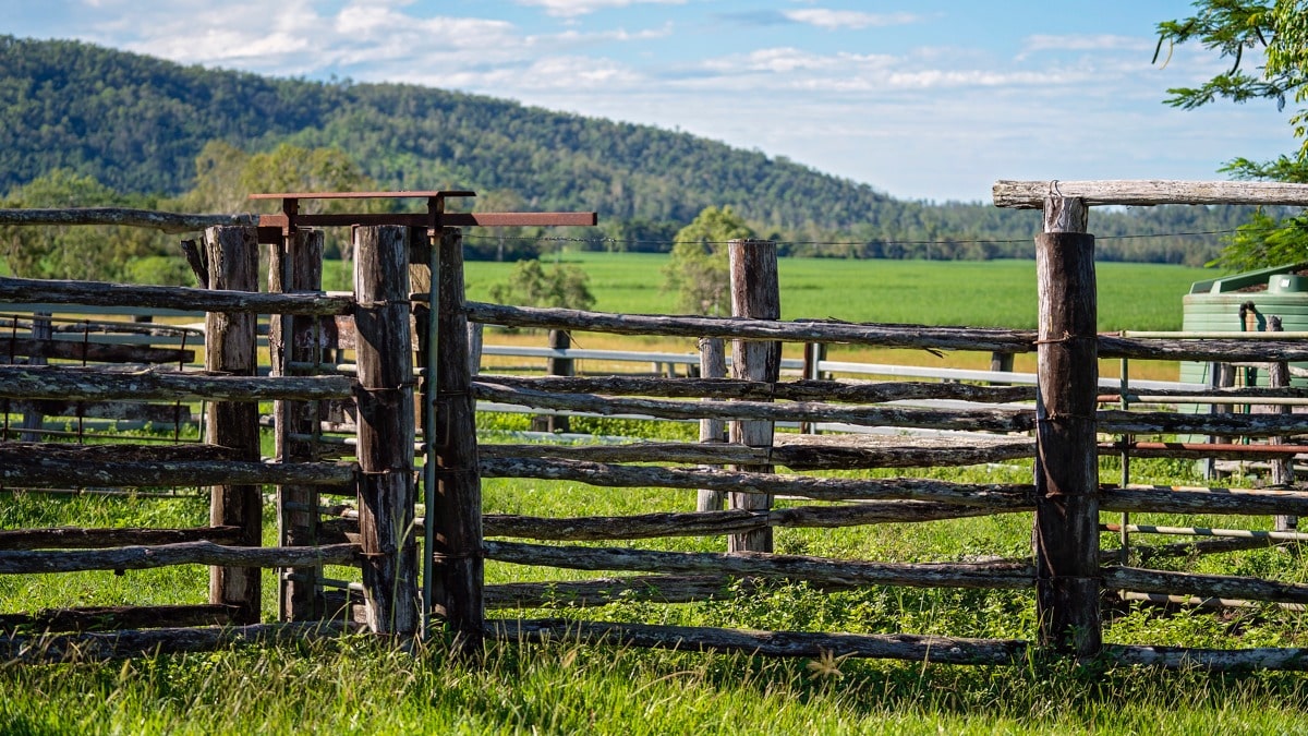 Can I live or stay in my SMSF property?