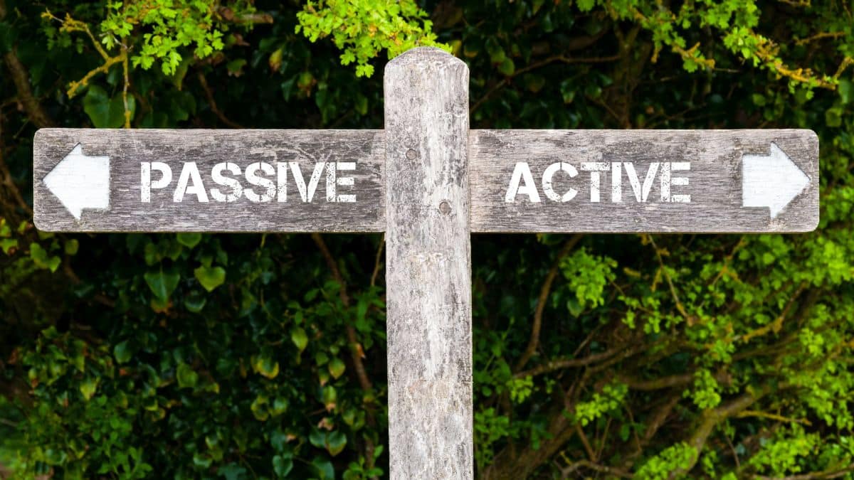 2025 year in review, 2026 year ahead