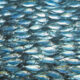 The 5 types of super funds explained