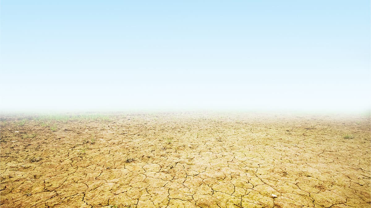 2025 year in review, 2026 year ahead