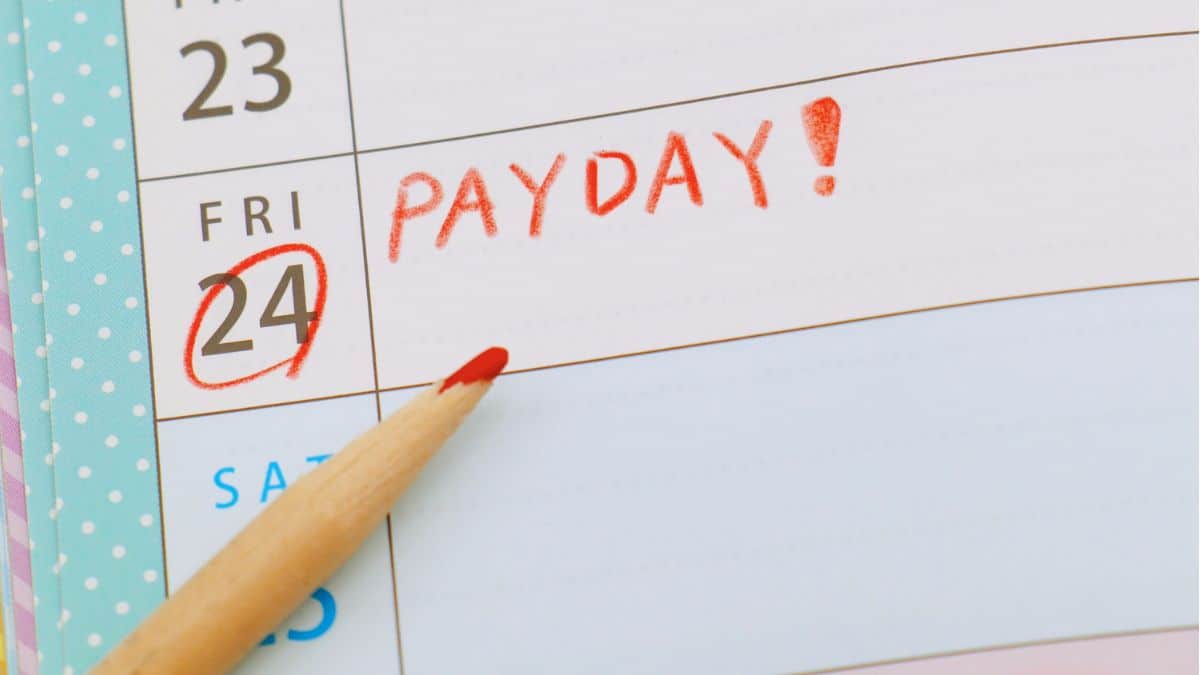 Payday Super is a good reminder to review your SMSF investment frequency
