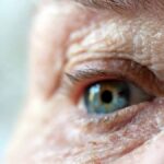 What government services are available for older Australians?
