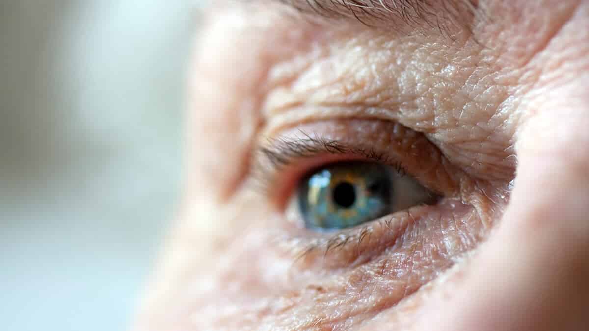 What government services are available for older Australians?